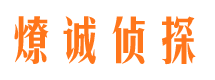 浚县市调查公司